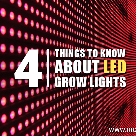 Top 4 Things to Know About LED Grow Lights