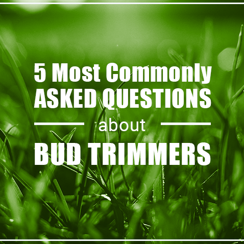 5 Most Commonly Asked Questions About Bud Trimmers