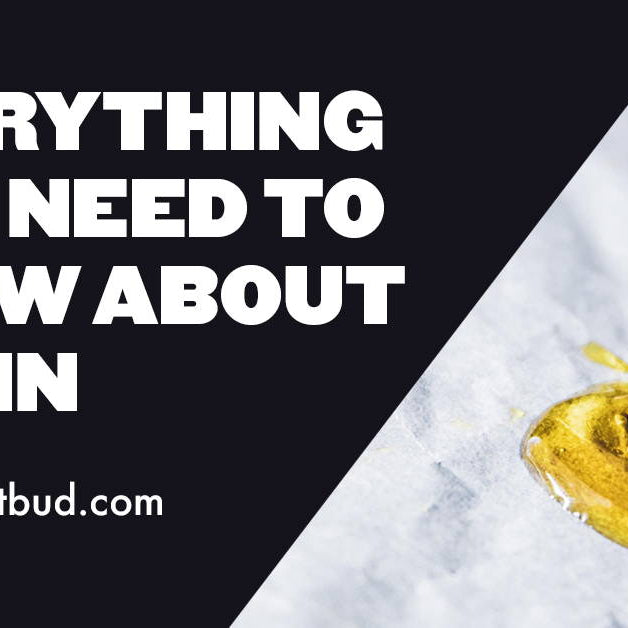 Everything you need to know about rosin