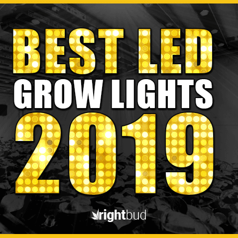 Top 10 LED Grow Lights of 2019