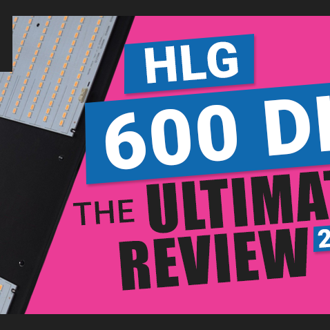 The Ultimate Horticulture Lighting Group HLG-600 Quantum Board LED Kit V2 Review