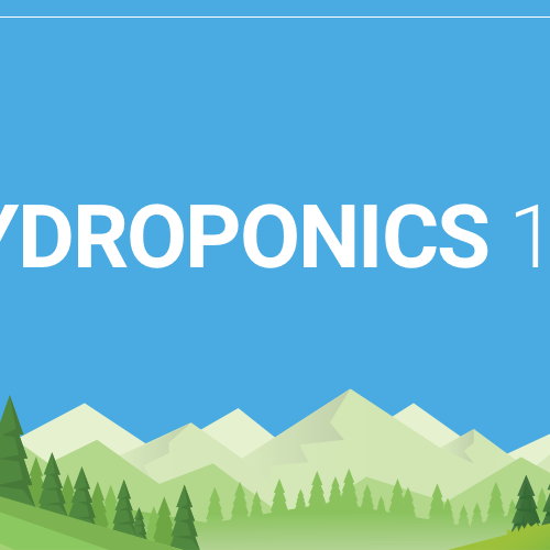Hydroponics 101