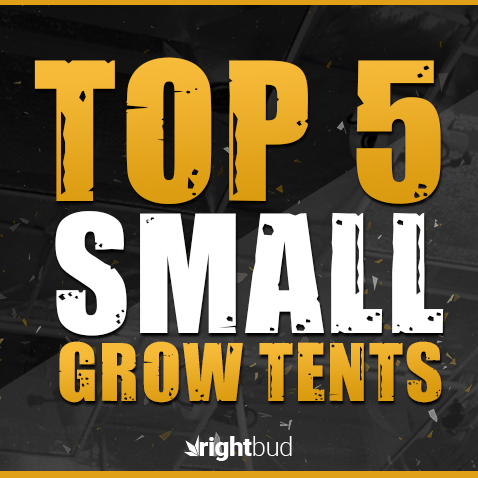 Top 5 Small Grow Tents in 2019