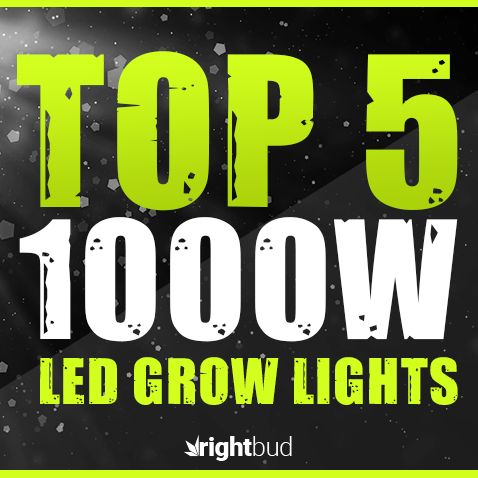 Top 5 (1000 Watt) LED Grow Lights For Sale in 2019