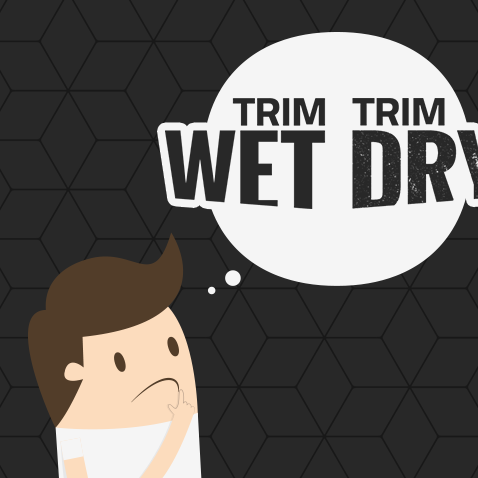 Wet Trimming vs. Dry Trimming: Your Ultimate Guide to Bud Trimming