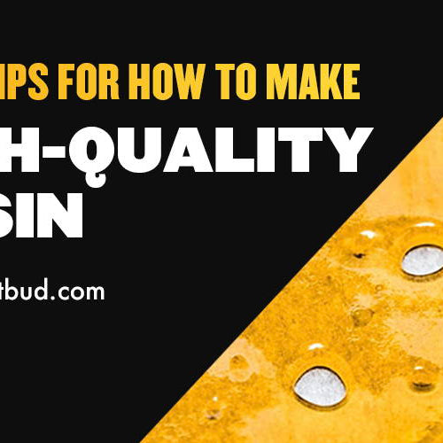 Top 6 Tips for How to Make High-Quality Rosin