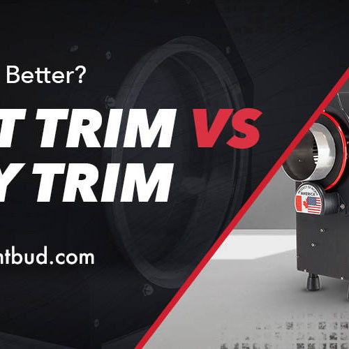 Wet Trim vs Dry Trim: Which is Better?