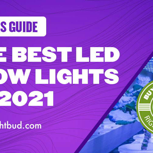 The Best LED Grow Lights of 2021