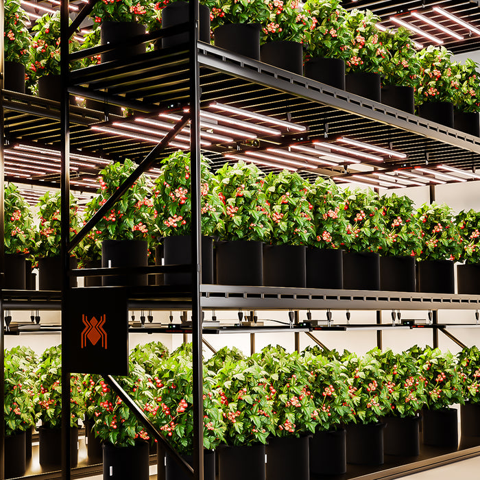 Spider Farmer G8600 Dimmable Full Spectrum High Yield Commercial LED Grow Light for 4x4/5x5 Grow Tents 2024 Edition