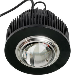 16_3_OPTIC_LED_1400_F_V1_540x_