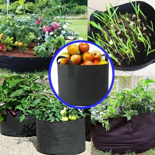 Spider Farmer Grow Bags 5 Pack Fabric Pots with Handles - 5 Gallon or 11 Gallon