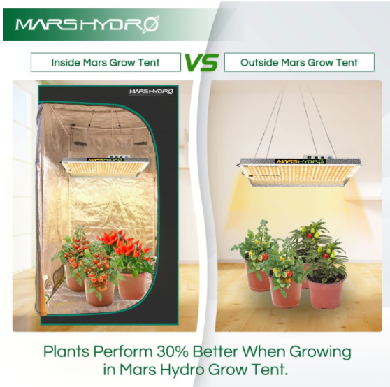 Mars Hydro 8' x 8' x 6.5' Indoor Grow Tent