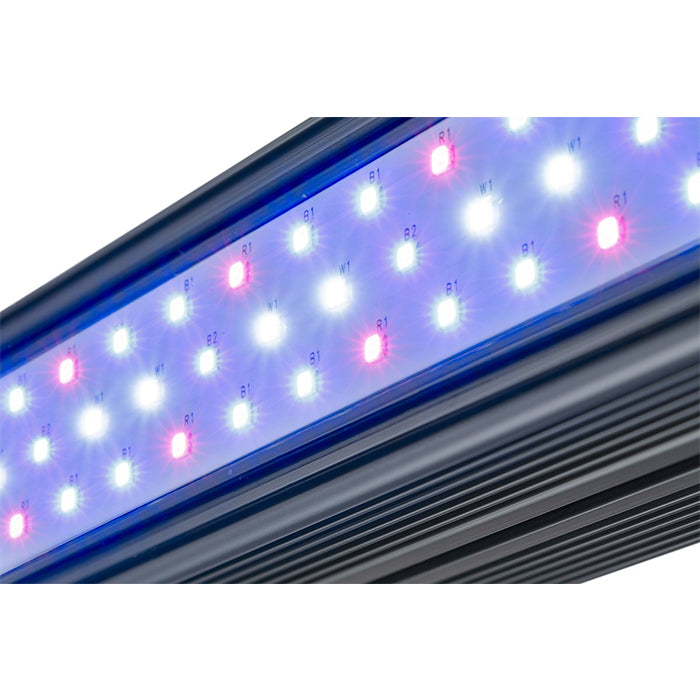 Kind LED X-Series XD75 / XD150 Bar Light