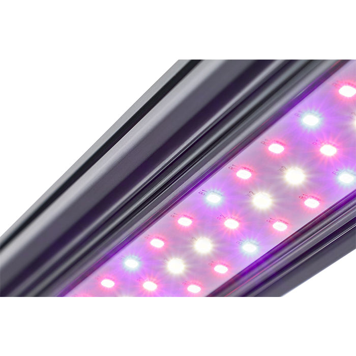 Kind LED X-Series X40 / X80 Bar Light